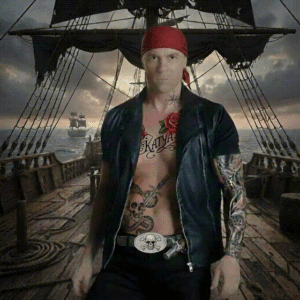 הזוהר הצפוני